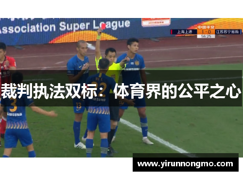 裁判执法双标：体育界的公平之心