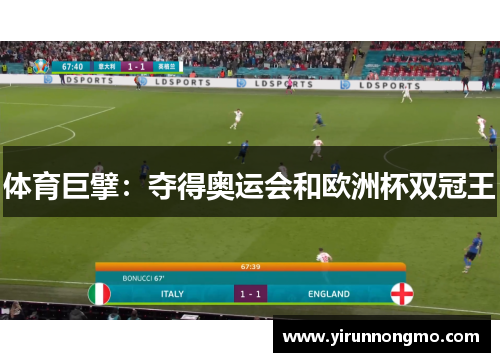 体育巨擘：夺得奥运会和欧洲杯双冠王