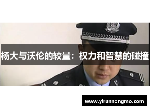 杨大与沃伦的较量：权力和智慧的碰撞